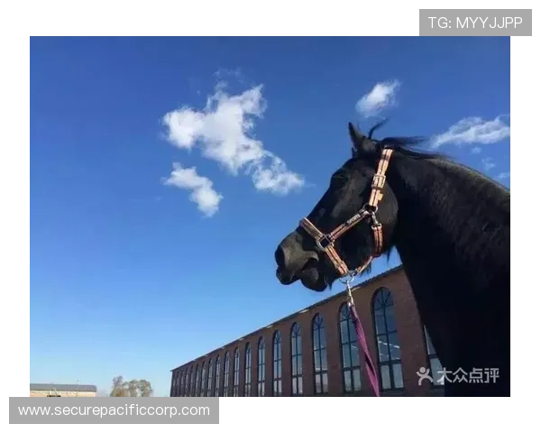 南宫体育健身活动中心举办的特色健身活动与赛事信息