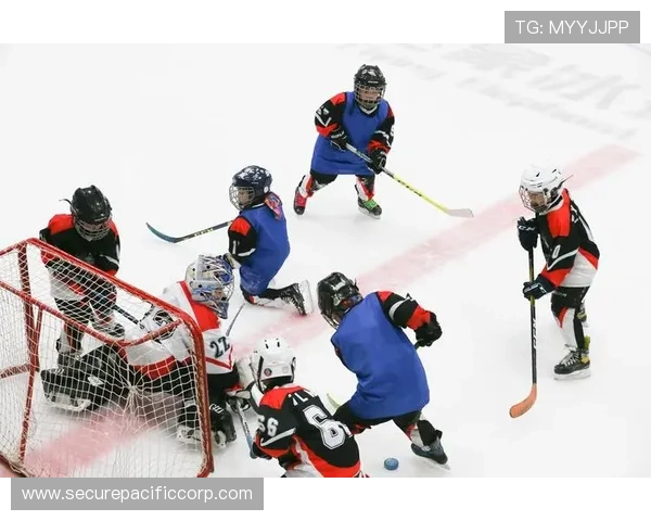 南宫体育户外运动项目推荐，探索自然中的运动乐趣与健康生活方式