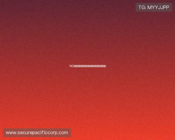 NG南宫国际版最新活动优惠信息及参与方式详尽解析