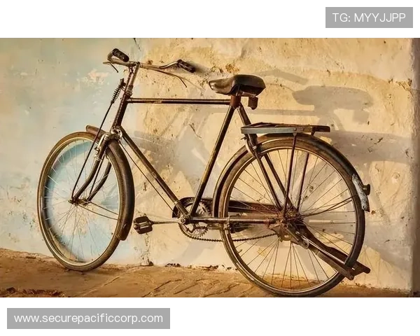 二八杠自行车的玩法技巧与策略详解帮助玩家提升游戏胜率