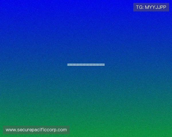 南宫壹号国际：打造全球领先的高端网络游戏娱乐体验平台