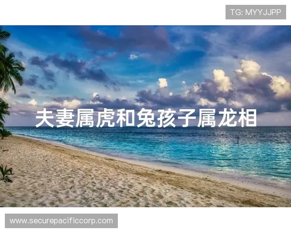属龙属虎的最佳相处方式:提升彼此理解与信任,构建稳固幸福的家庭生活指南
