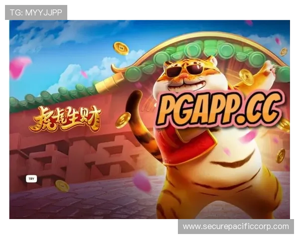 PG电子娱乐官网下载官方渠道,确保账号安全与游戏体验优化方案